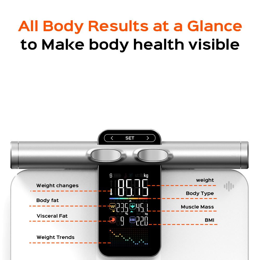 2025년형 오프라인 측정 기능 체중계 체지방 측정기  - Body Fat Scale Smart 리뷰 및 가격