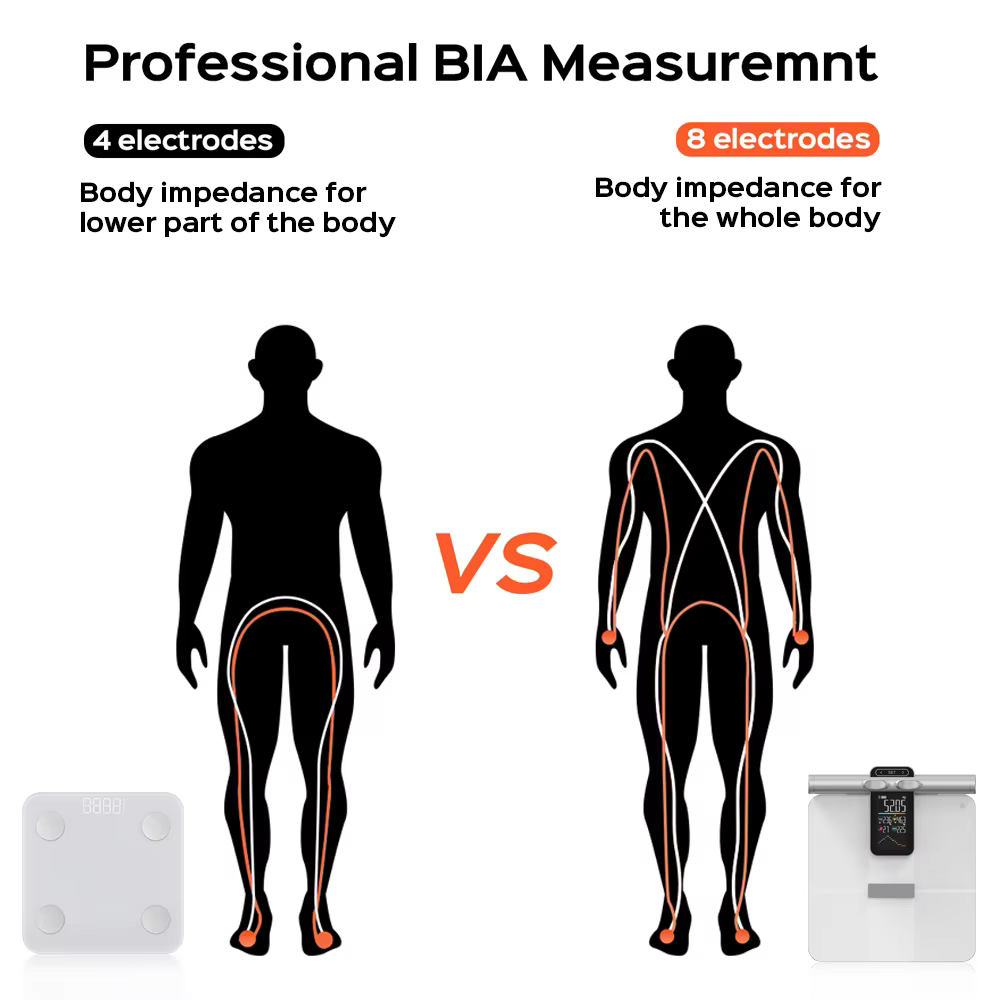 2025년형 오프라인 측정 기능 체중계 체지방 측정기  - Body Fat Scale Smart 리뷰 및 가격